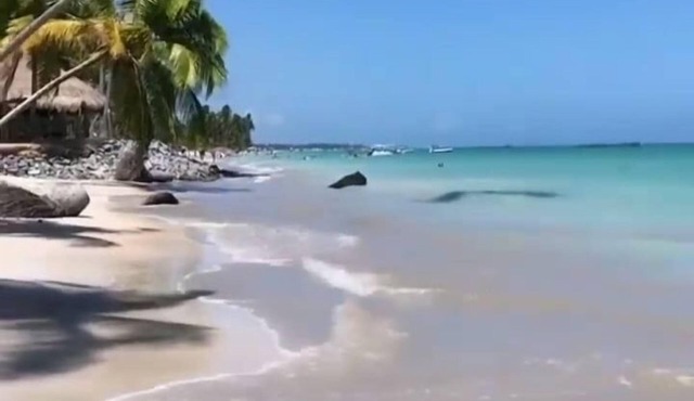 Mar Turquesa Eco Pousada