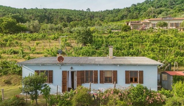 Margherita by Interhome