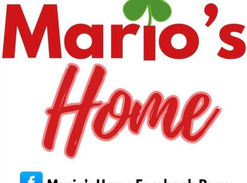 Mario's Home