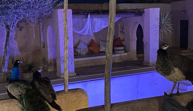Marrakesh 6-Bed Housing Authentic Berber