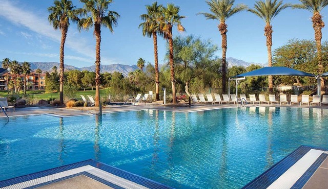 Marriott's Shadow Ridge Studio Suite