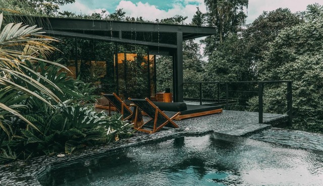 Marvel at Native Forest Views from Private Pool at Luxe Suite