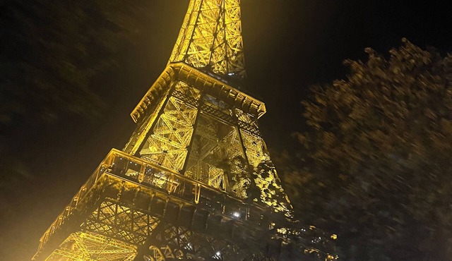 Marvelous 2-bedroom Trocadero apartment near Eiffel Tower in Paris for 6 People