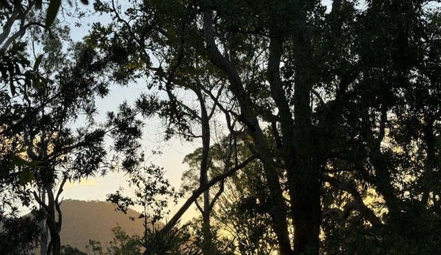 Mary River Hideaway - Bush Turkey Retreat a place to unwind surrounded by nature