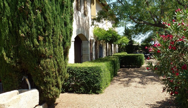 Mas, authentic wine house, swimming pool.