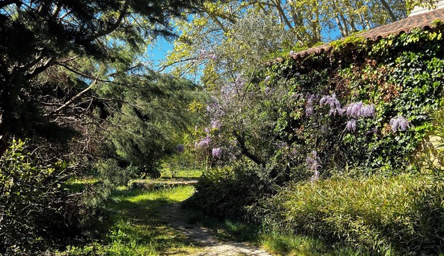 Mas Authentique Dans les Alpilles à 5 mn de Saint Rémy de Provence