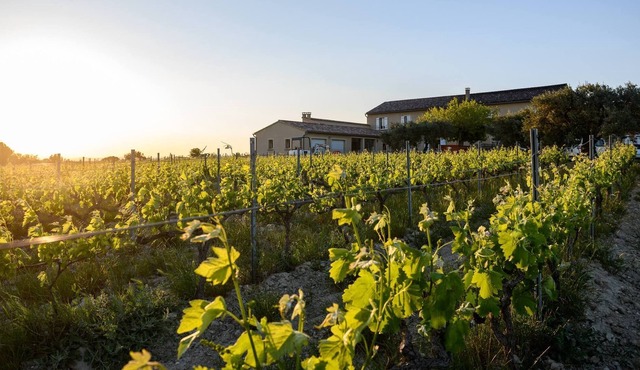 Mas Viticole Les Cardelines with swimming pool - by feelluxuryholidays