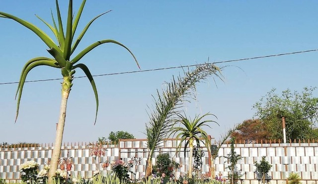 Masane Lodge