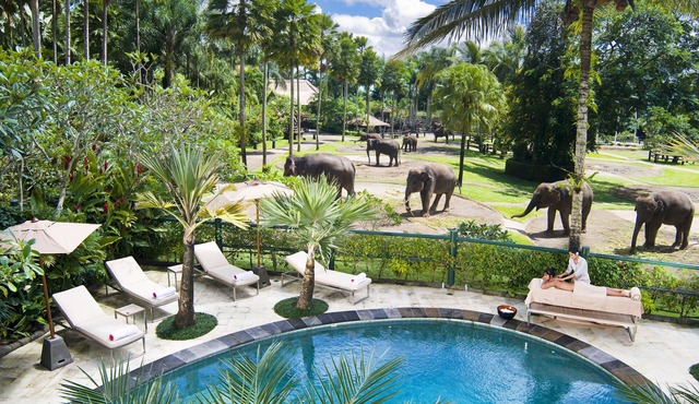 Mason Elephant Lodge