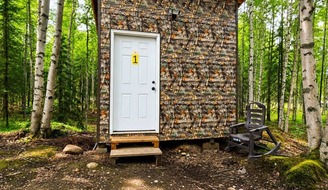 Mat-Su Thunder Cabin #1