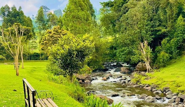 Mathioya River Lodge