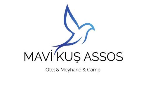 Mavi Kuş