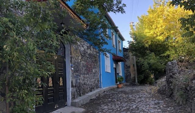 Mavi Ladin Konukevi