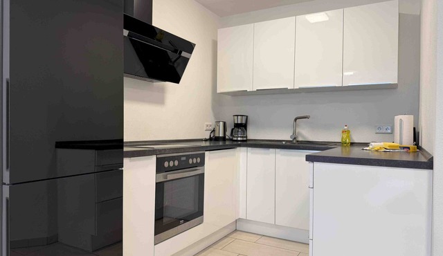 MAX114 modern fitter's apartment