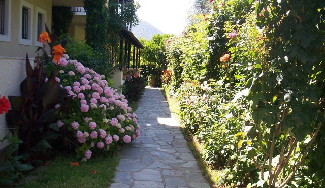MAYFLOWER GARDEN STUDIO