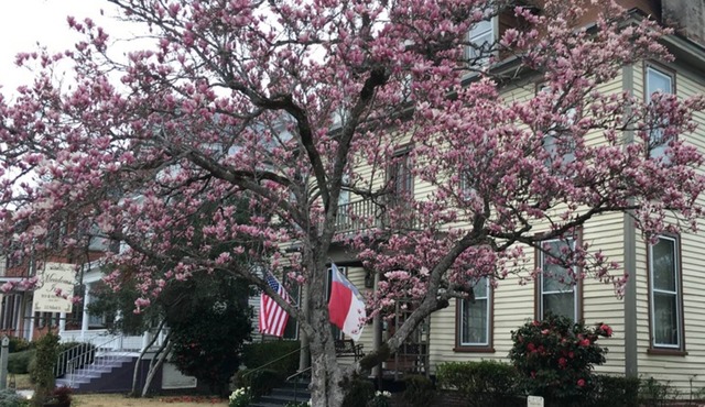 Meadows Inn Bed & Breakfast