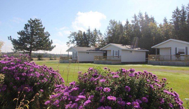 Meadowview Cottages
