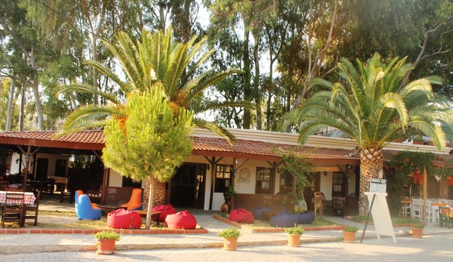 Medusa Bar & Camping - Hostel