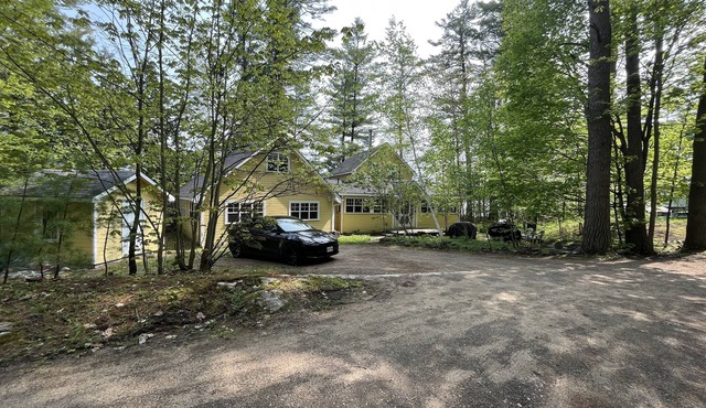 Mellow Yellow (Gull Lake Muskoka) - Gravenhurst