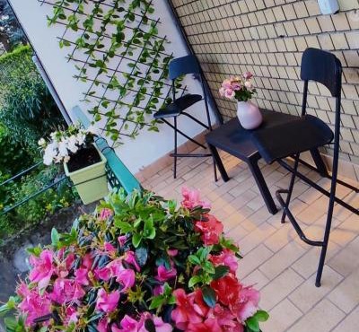 Melody's House