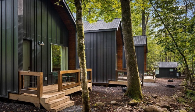 Memorable Vacations in Cosby in this Lovely, Pet-Friendly Rental on the Edge of the Great Smoky Mountains National Park