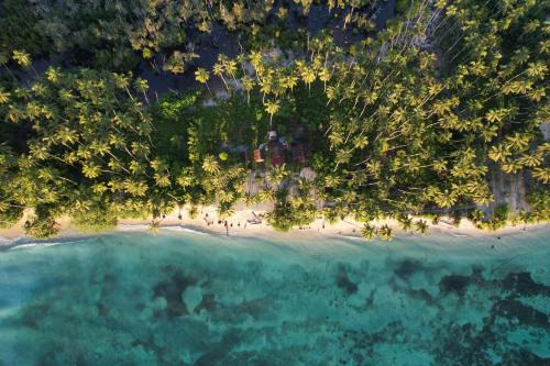 Mentawai Tribe Experience Camp & Private Beach