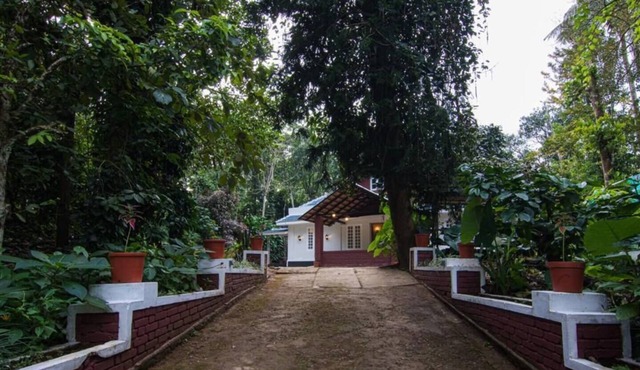 MerakWoods