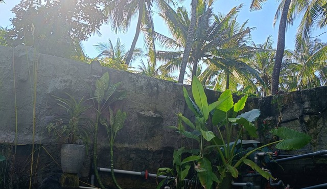 Mermaid Suite With AC 1 B&B - Bali Jungle Retreat with Fine Dining & Eco Pool
