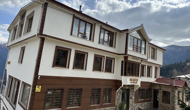 Meseici Otel