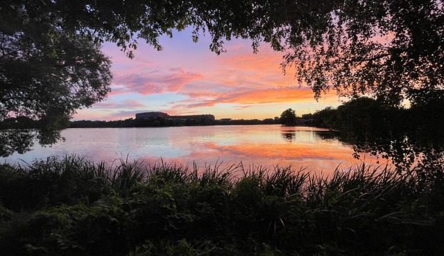 Messeapartment Dutzendteich
