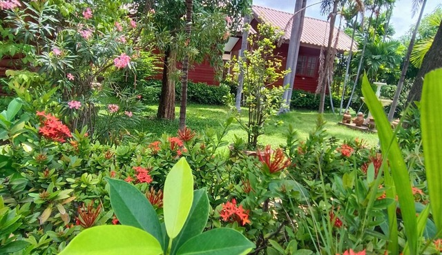 MG Guest House