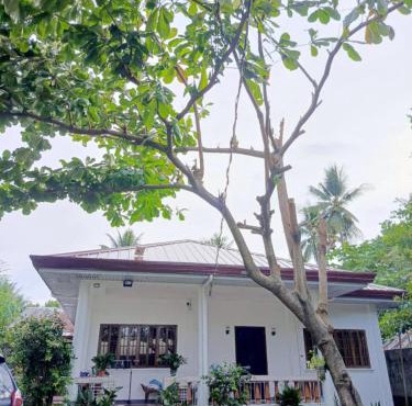 MG Villa
