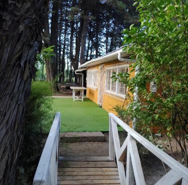 Mi refugio arbolado