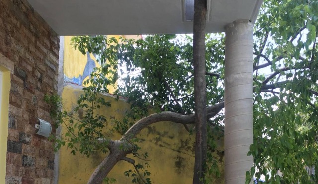 Mi Viejo Chit