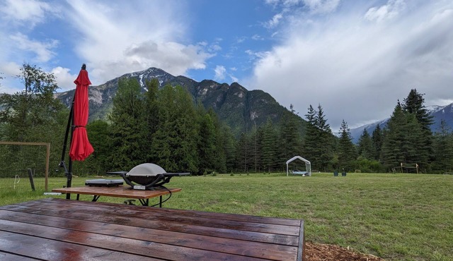 Micro cabin with stunning mountain views, close to Arrow lake/pet friendly!