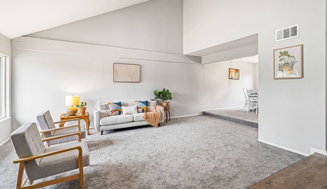Mid-Century Meets Modern!