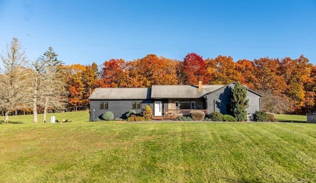Midnight Meadow - Bright & Airy Cabin in Callicoon