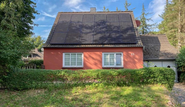 Mien Lütten