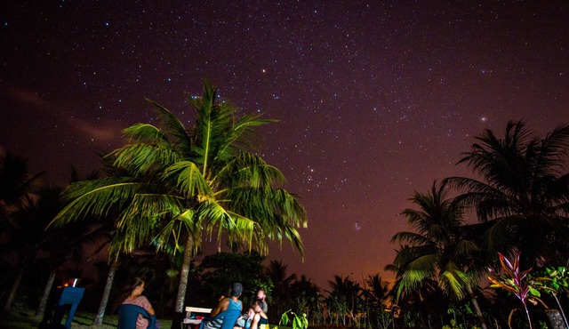 Miguel Surf Camp