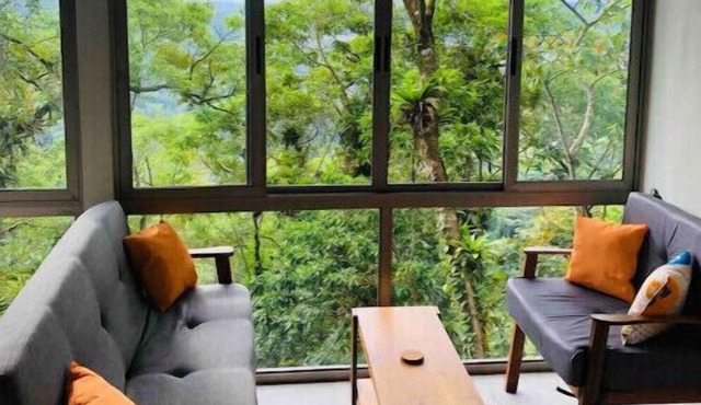 Milagro- Tree Studio