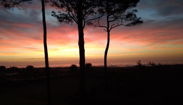 Million Dollar Oceanfront View