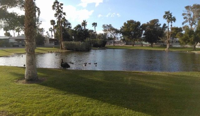 Mineral Hot Springs Resort Home on Water (small lake)