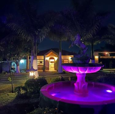 Mini cabaña
