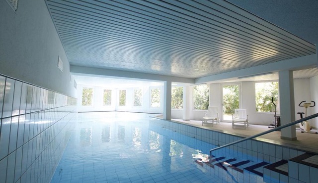 Minusio Suite Pool
