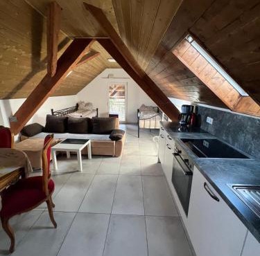 Mira Home 3
