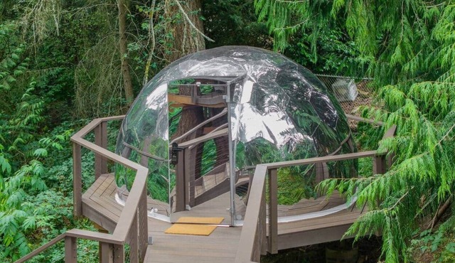 Mirror Dome · Reflective Luxury Glamping w/Hot Tub & Sauna in Forest Retreat