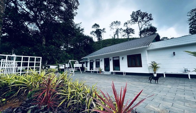 Mist Cottage
