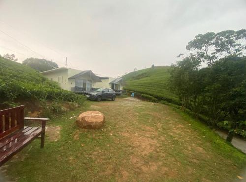 Misty Glen