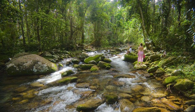 Misty Mountains Rainforest Retreat