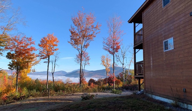 Misty View: Private Mountainside Cabin, 2 Decks, Large Yard, Grill, Huge TV, Dog OK